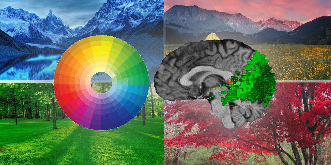 Color of Nature: Effects on Visual Memory Performance